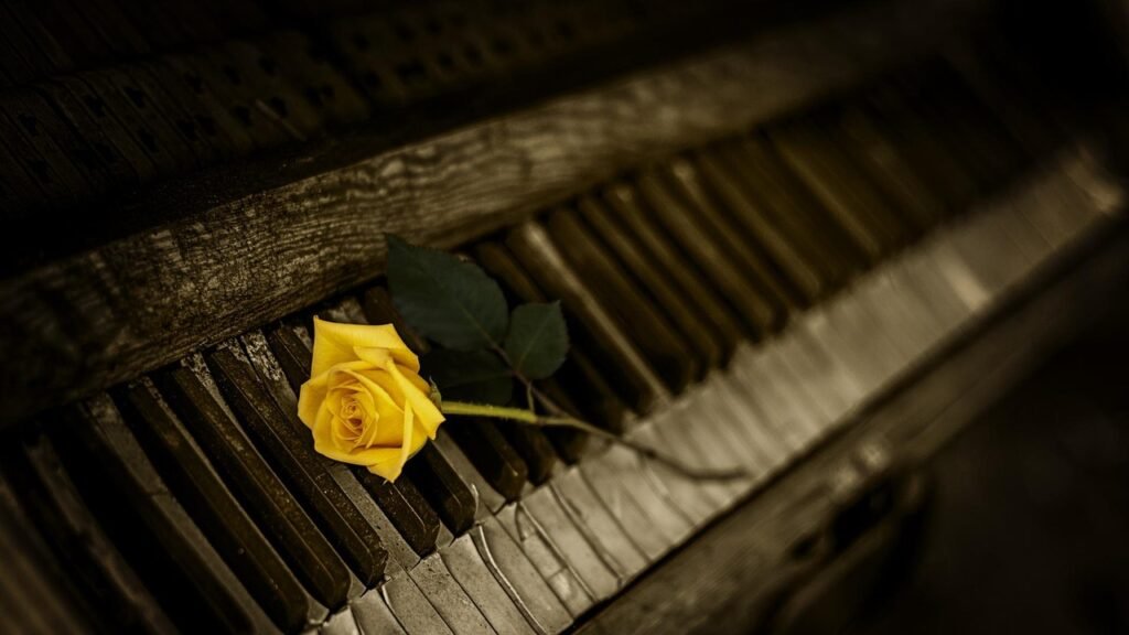 piano, rose, yellow rose, old piano, keyboard, organ, piano keys, black keys, white keys, vintage, keys, rose flower, melody, musical instrument